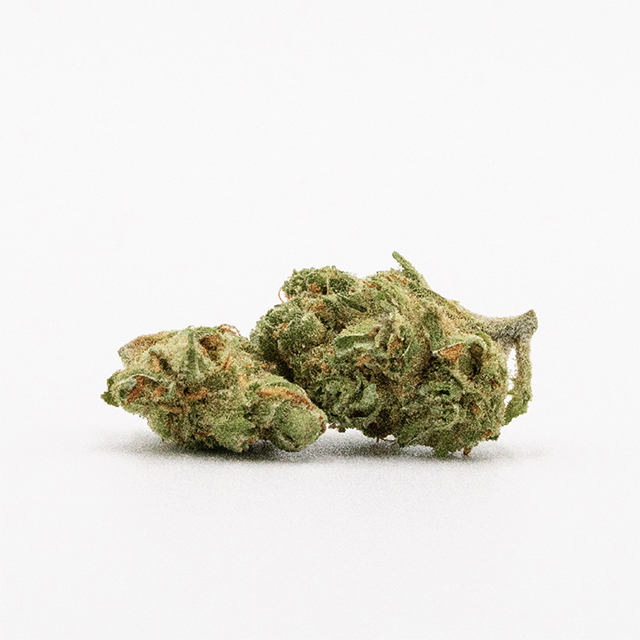 Semi Cannabis Lemon Shining Silver Haze Femminizzati Marijuana