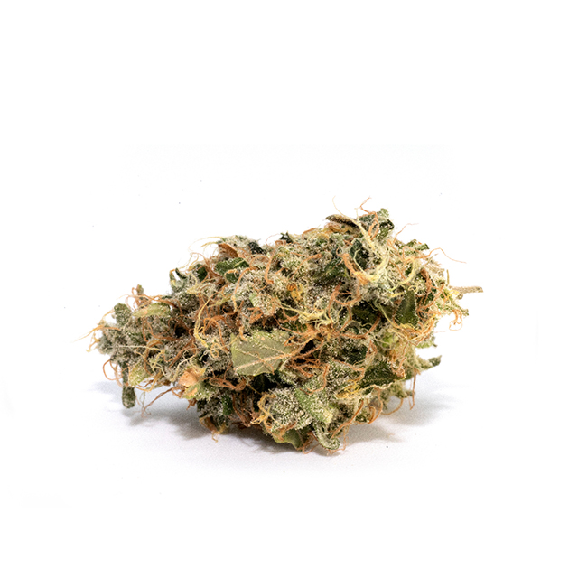 Enhancing Your Garden: The Excellence of White Widow Seeds by Kindseed