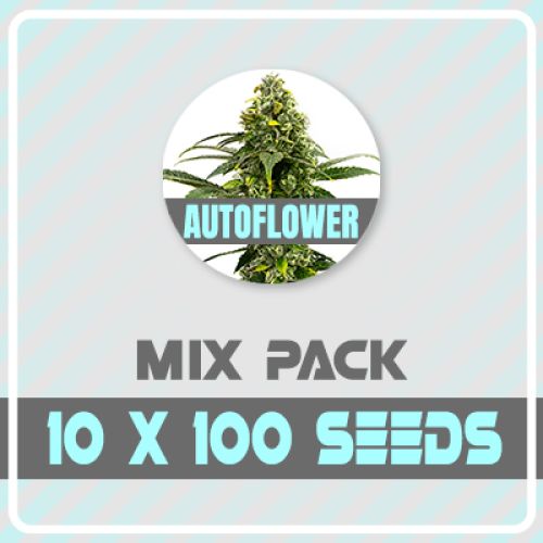 1000 Autoflower Seed Pack