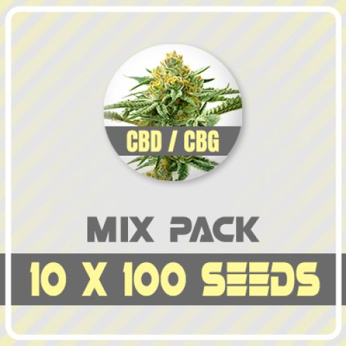1000 CBD Seed Pack
