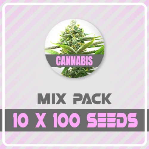 1000 Variety Feminized Seed Pack