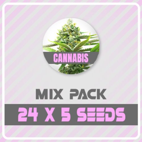 120 Feminized Mix Pack