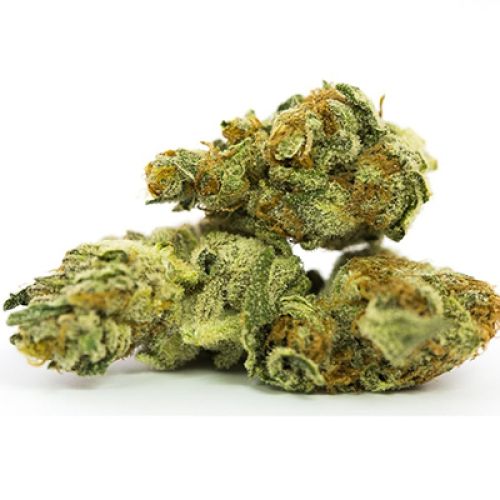 Banana Berry Cheese Photo Fem