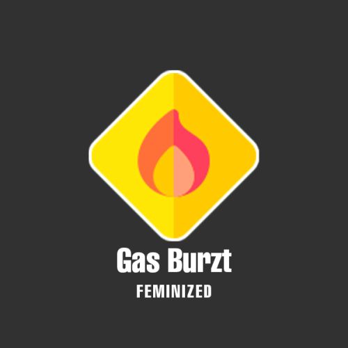 Gas Burzt Photo Fem