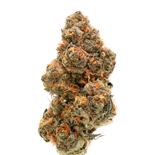 Peyote Cookies Photo Fem
