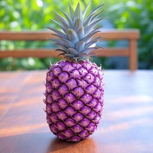 Purple Pineapple Photo Fem