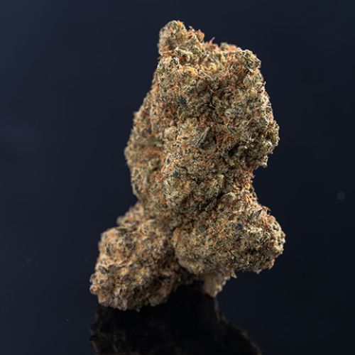 Purple Punch Auto Fem