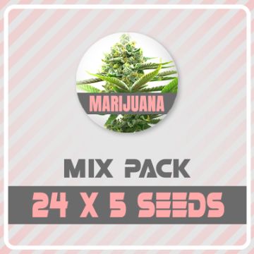 120 Regular Mix Pack
