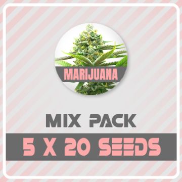 100 Regular Mixed Pack