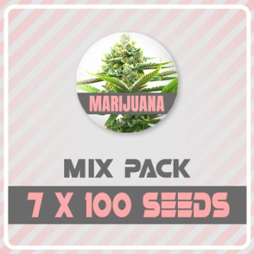 700 Regular Mixed Pack