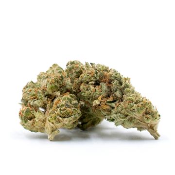 AK47 Fast Photo Fem