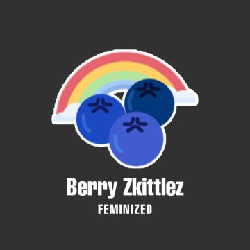 Berry Zkittlez Photo Fem