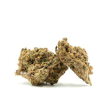 Black Hulk Photo Fem