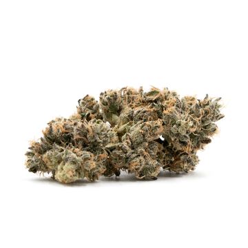 Blueberry Mazar Auto Fem