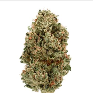 OG Kush Photo Fem