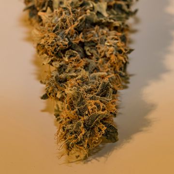 Cherry AK47 Fast Photo Fem