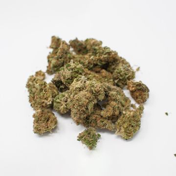 Chocolate Thai Photo Fem