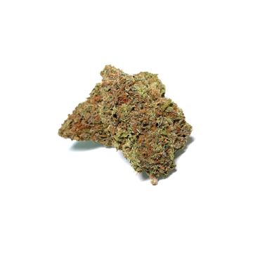 Cinderella Haze Photo Fem