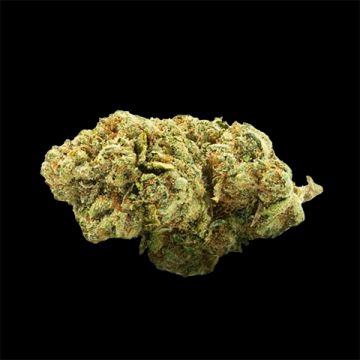 Cindy Skunk Fast Photo Fem