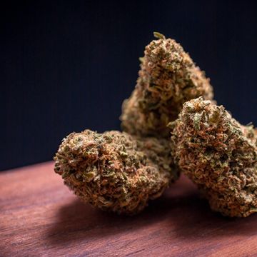 Critical Boom Photo Fem