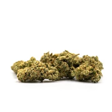 Durban Poison Photo Fem