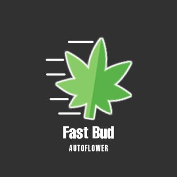 Fast Bud Auto Fem