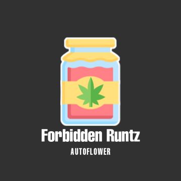 Forbidden Runtz Auto Fem