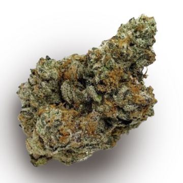 Gelato London Cake Photo Fem