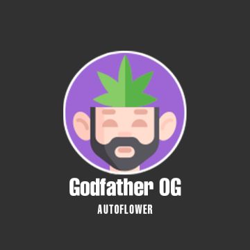 Godfather OG Auto Fem