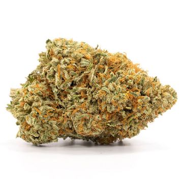 Afghan Photo Fem