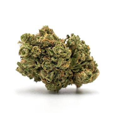 Ice Cream Cake Photo Fem