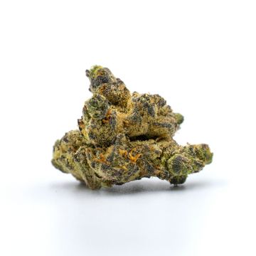 Kush Mints Photo Fem