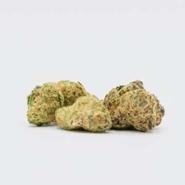 Lava Cake Photo Fem