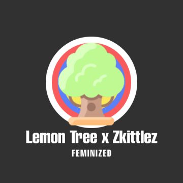 Lemon Tree Zkittlez Photo Fem