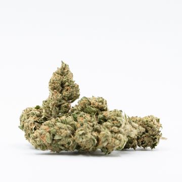Lowryder Auto Fem