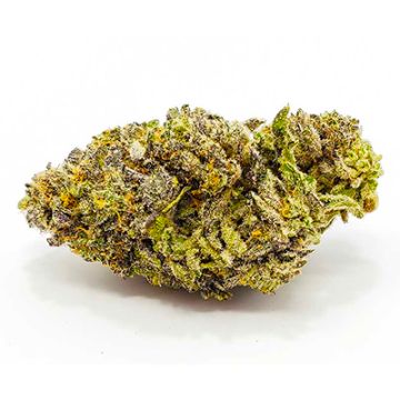 MAC 1 Photo Reg