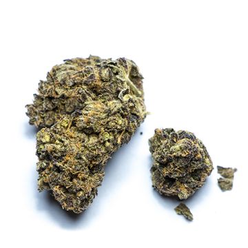Neville Haze Auto Fem