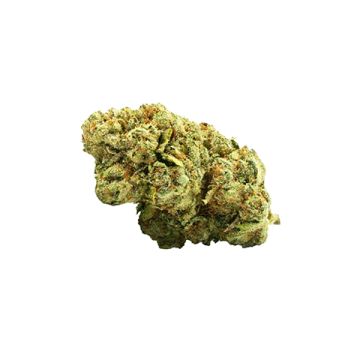 North Skunk Photo Fem