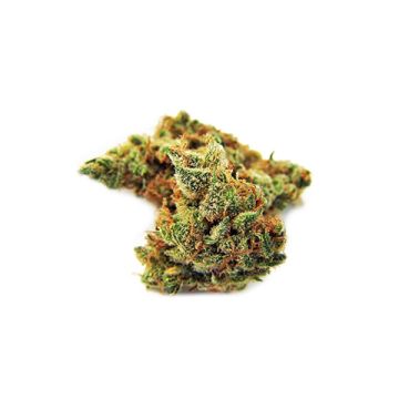 Northern Lights 10 Photo Fem