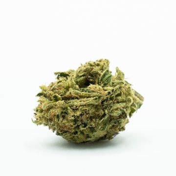 Northern Lights Photo Fem