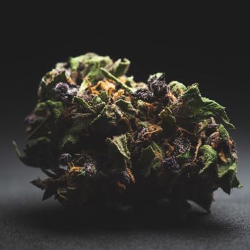 Purple Haze Auto Fem