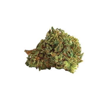 Purple Mazar Photo Fem