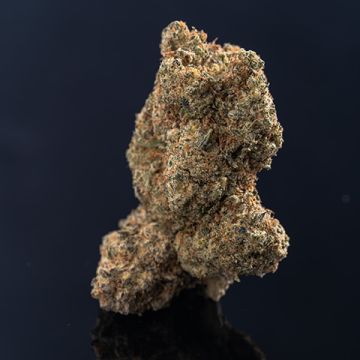 Purple Punch Auto Fem