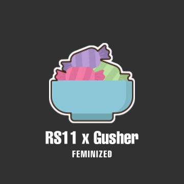 RS11 x Gusher Photo Fem