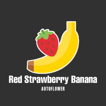 Red Strawberry Banana Auto Fem