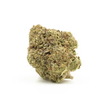 Skywalker OG Photo Fem
