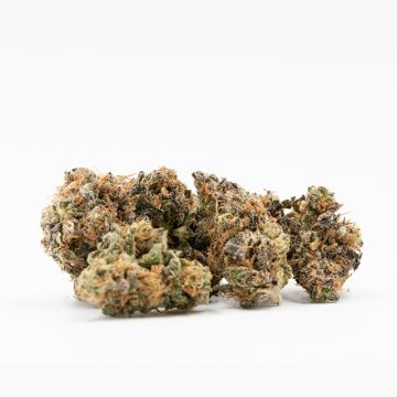 Wedding Cake Auto Fem