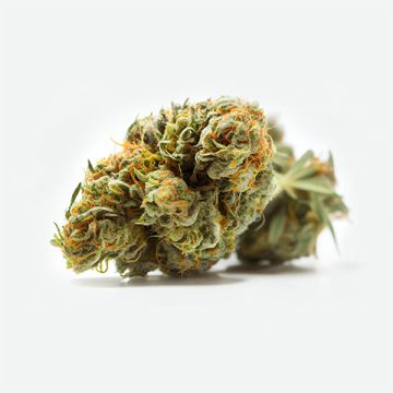White AK47 Auto Fem