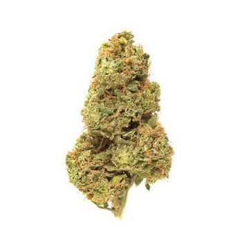 Zkittlez Auto Fem