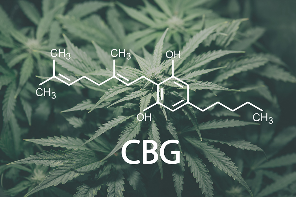 CBG - What Is It